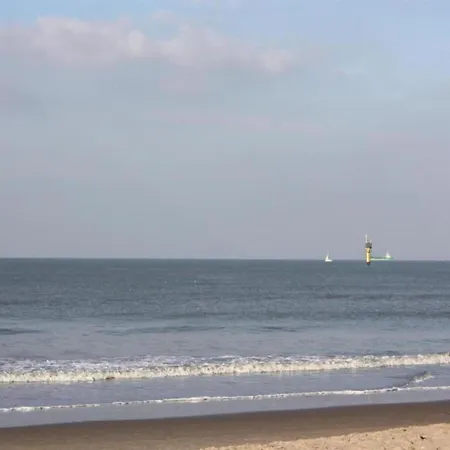 Duplex With Roof Terrace Apartment *